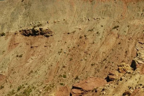 如何開(kāi)(kāi)展土壤污染狀況調(diào)(diào)查工作